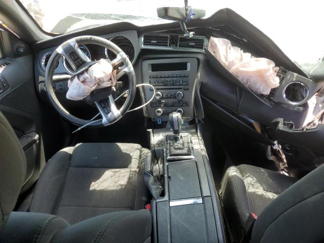 Photo 8 from auction – 2014 FORD MUSTANG with VIN 1ZVBP8AMXE5334841