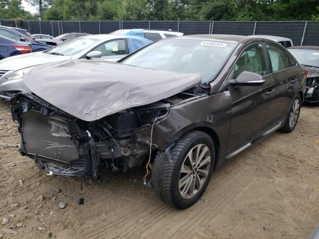 HYUNDAI SONATA SPO 2016 with VIN 5NPE34AF7GH262294 - Photo from auction