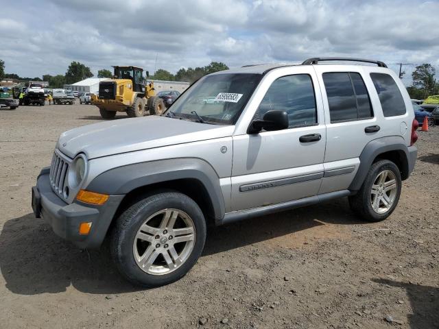 JEEP LIBERTY SP 2005 with VIN 1J4GL48K25W659053 - Photo from auction