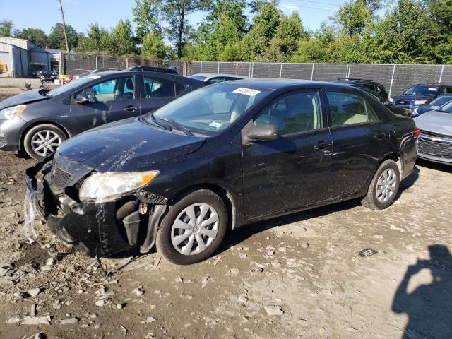 TOYOTA COROLLA BA 2010 with VIN 2T1BU4EE3AC285020 - Photo from auction