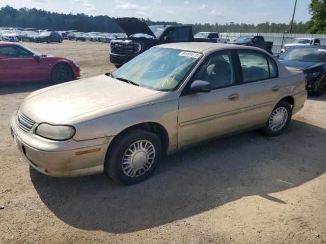CHEVROLET CLASSIC 2005 with VIN 1G1ND52FX5M201390 - Photo from auction