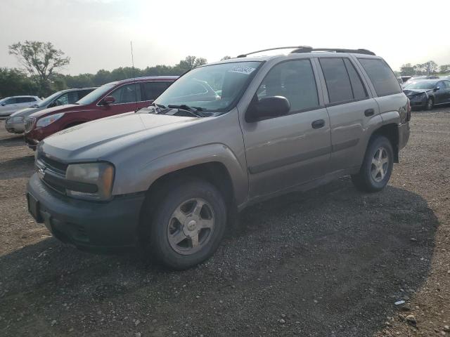 CHEVROLET TRAILBLAZE 2005 with VIN 1GNDT13S452287373 - Photo from auction