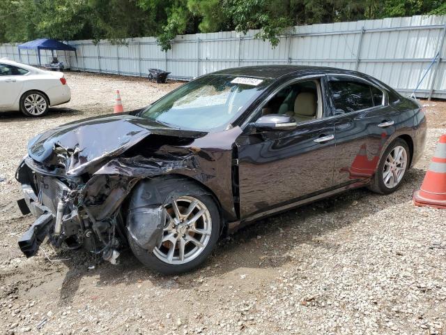 NISSAN MAXIMA S 2010 with VIN 1N4AA5AP9AC819590 - Photo from auction