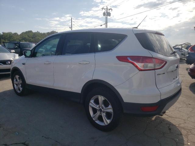 Photo 2 from auction – 2014 FORD ESCAPE SE with VIN 1FMCU0GX8EUC31891