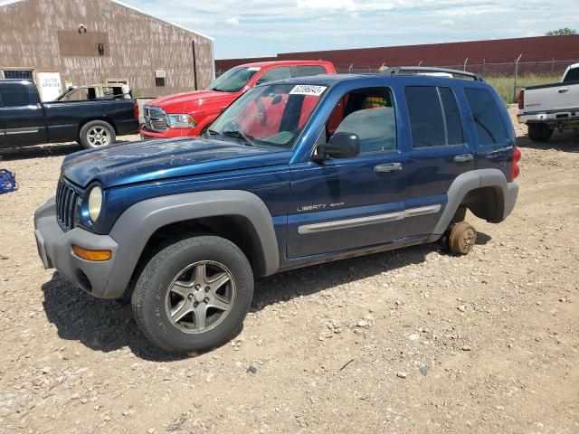 JEEP LIBERTY SP 2002 with VIN 1J4GL48K32W262561 - Photo from auction