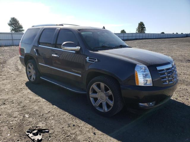 Photo 4 from auction – 2010 CADILLAC ESCALADE L with VIN 1GYUKBEF3AR104865