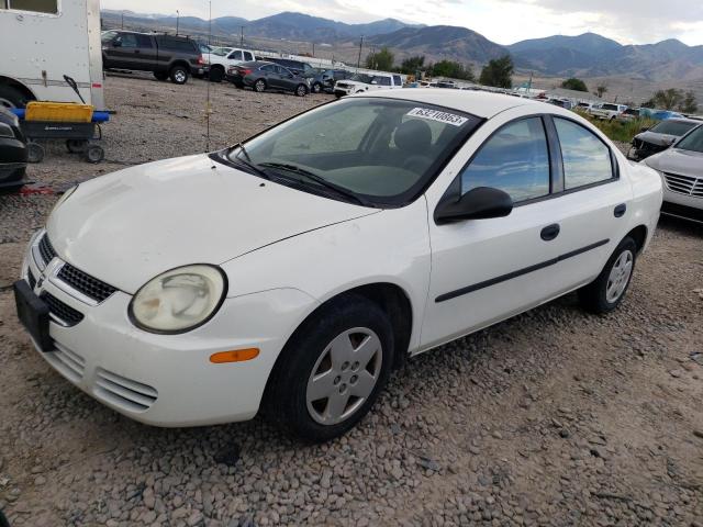 DODGE NEON 2004 with VIN 1B3ES26C54D506503 - Photo from auction