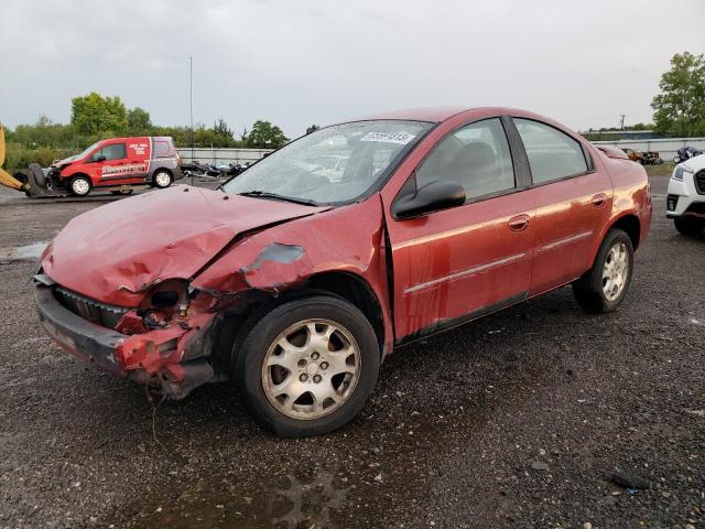 DODGE NEON 2005 with VIN 1B3ES56C95D264821 - Photo from auction