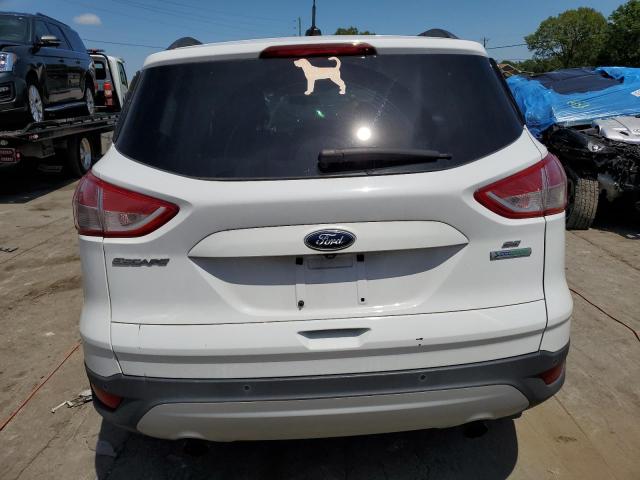 Photo 6 from auction – 2014 FORD ESCAPE SE with VIN 1FMCU0GX5EUB11899