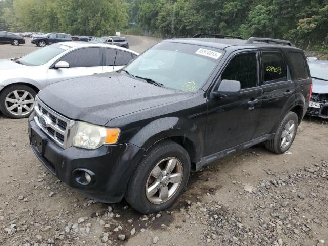 FORD ESCAPE XLT 2009 with VIN 1FMCU93G89KC03388 - Photo from auction