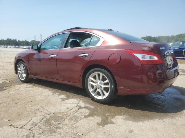 Photo 2 from auction – 2009 NISSAN MAXIMA S with VIN 1N4AA51E99C806672