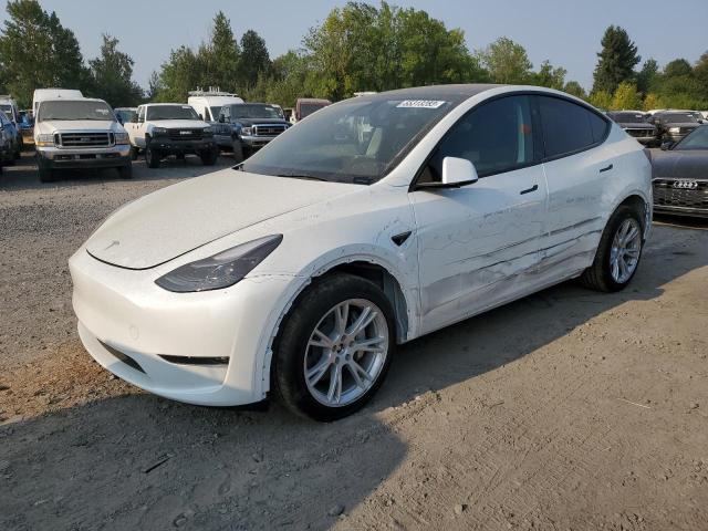 TESLA MODEL Y 2023 with VIN 7SAYGDEE7PF816759 - Photo from auction