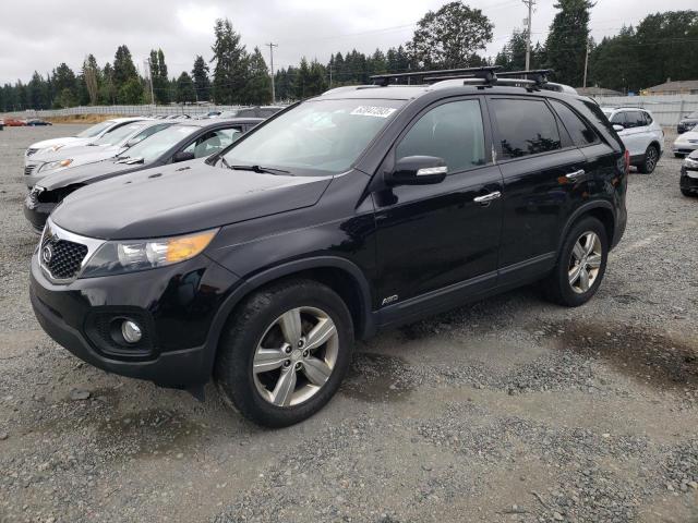 KIA SORENTO EX 2012 with VIN 5XYKUCA64CG242757 - Photo from auction