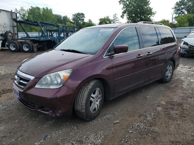 HONDA ODYSSEY 2007 with VIN 5FNRL38737B428559 - Photo from auction