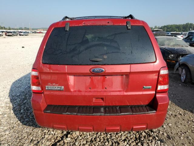 Photo 6 from auction – 2010 FORD ESCAPE XLT with VIN 1FMCU0DG3AKB53739