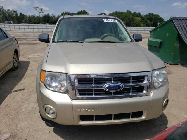 Photo 5 from auction – 2011 FORD ESCAPE XLT with VIN 1FMCU0DG7BKA31595