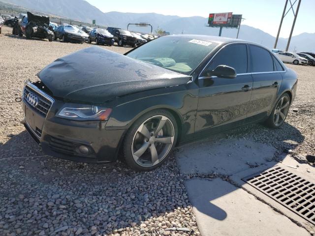 AUDI A4 PREMIUM 2012 with VIN WAUBFAFL3CA053964 - Photo from auction