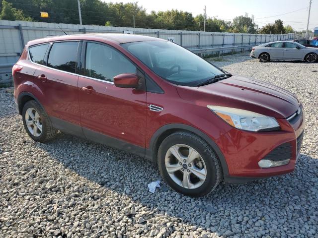 Photo 4 from auction – 2014 FORD ESCAPE SE with VIN 1FMCU0GX5EUC07211