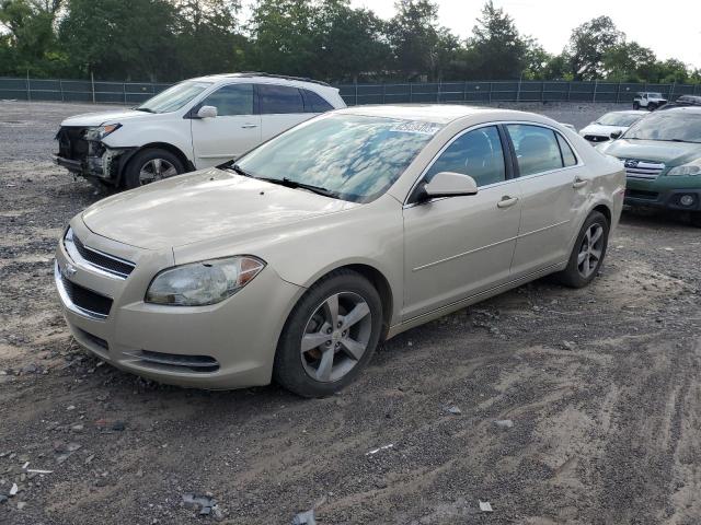 Photo 1 from auction – 2011 CHEVROLET MALIBU 1LT with VIN 1G1ZC5EU1BF246829