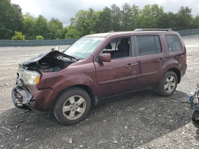 HONDA PILOT EX 2011 with VIN 5FNYF4H45BB019146 - Photo from auction