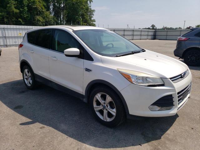 Photo 4 from auction – 2014 FORD ESCAPE SE with VIN 1FMCU0GXXEUA10440
