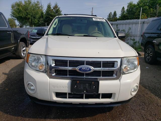 Photo 5 from auction – 2010 FORD ESCAPE XLT with VIN 1FMCU0D78AKC38754