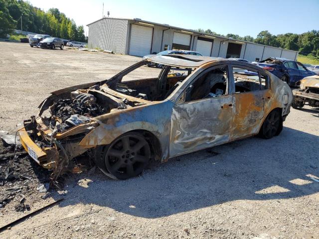 NISSAN MAXIMA SE 2006 with VIN 1N4BA41EX6C853414 - Photo from auction
