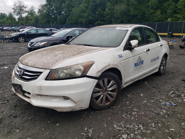 HONDA ACCORD EXL 2011 with VIN 1HGCP3F88BA024245 - Photo from auction
