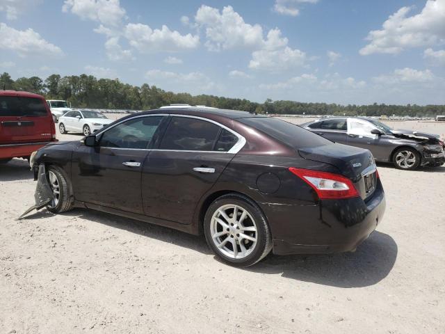 Снимка 2 от търг – 2010 NISSAN MAXIMA S с VIN 1N4AA5AP7AC804327