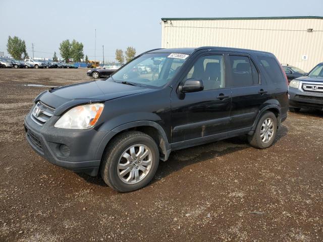 HONDA CR-V EX 2005 with VIN JHLRD78815C814309 - Photo from auction
