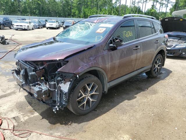 TOYOTA RAV4 SE 2017 with VIN 2T3NFREV5HW338093 - Photo from auction
