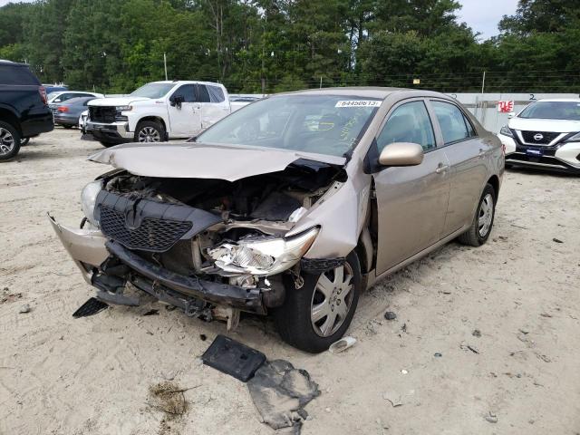 TOYOTA COROLLA 2010 with VIN 2T1BU4EEXAC490446 - Photo from auction