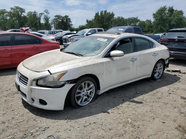 NISSAN MAXIMA S 2009 with VIN 1N4AA51E99C848808 - Photo from auction