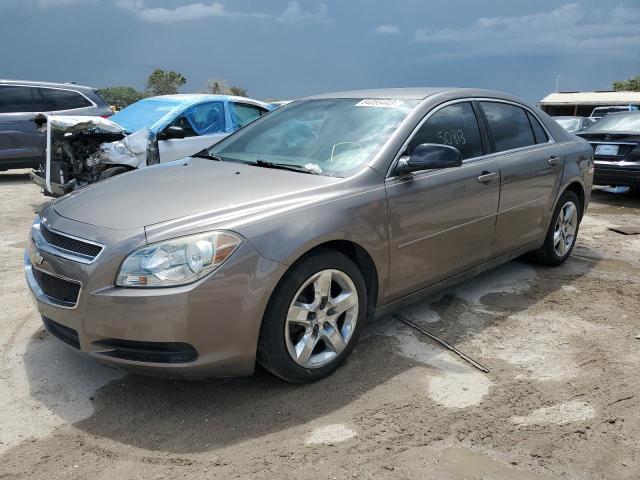 CHEVROLET MALIBU LS 2012 with VIN 1G1ZB5E00CF327905 - Photo from auction