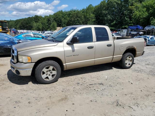 DODGE RAM 1500 S 2004 with VIN 1D7HA18N24S736444 - Photo from auction