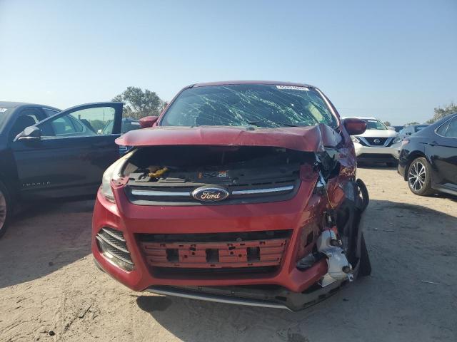 Photo 5 from auction – 2014 FORD ESCAPE SE with VIN 1FMCU9G91EUE21487