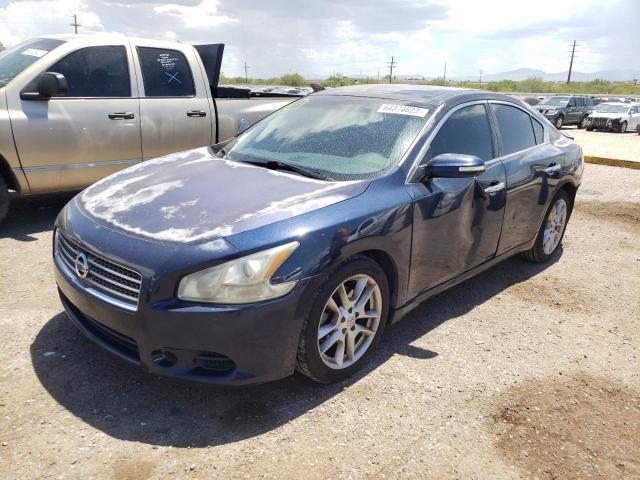NISSAN MAXIMA S 2009 with VIN 1N4AA51E09C845568 - Photo from auction