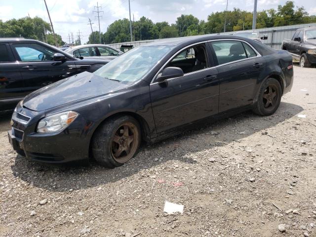 CHEVROLET MALIBU LS 2012 with VIN 1G1ZB5E00CF225536 - Photo from auction