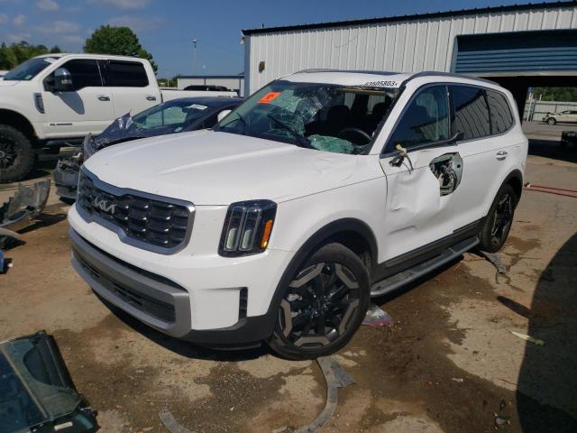KIA TELLURIDE 2023 with VIN 5XYP6DGC5PG357151 - Photo from auction