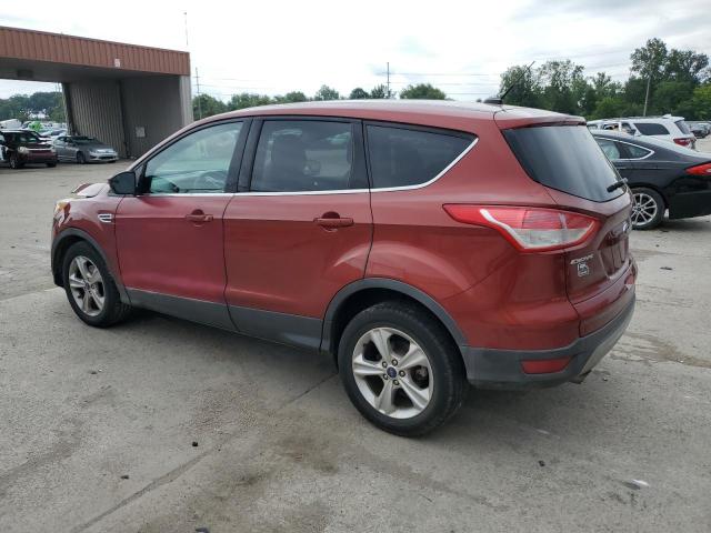 Photo 2 from auction – 2014 FORD ESCAPE SE with VIN 1FMCU0GX9EUC75172