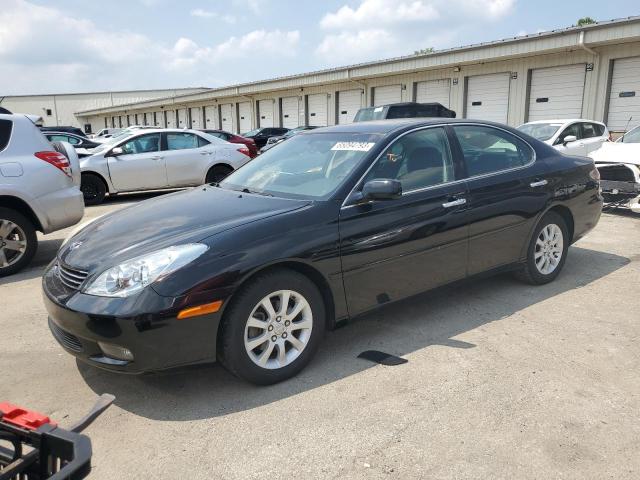 LEXUS ES 330 2004 with VIN JTHBA30G045000446 - Photo from auction