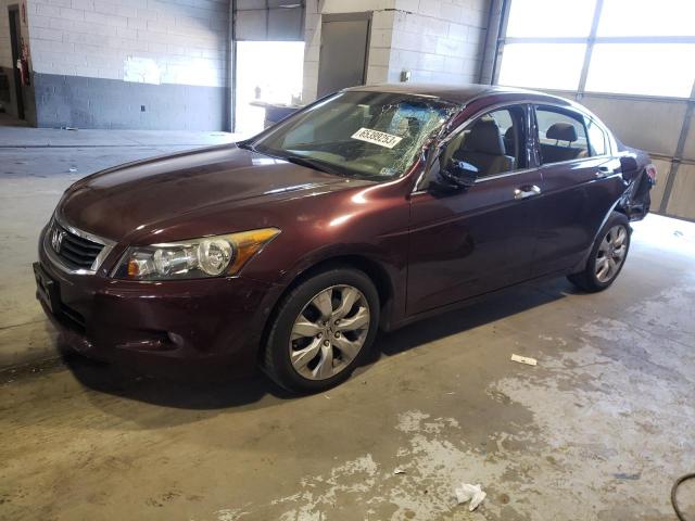 HONDA ACCORD EXL 2010 with VIN 5KBCP3F83AB016754 - Photo from auction