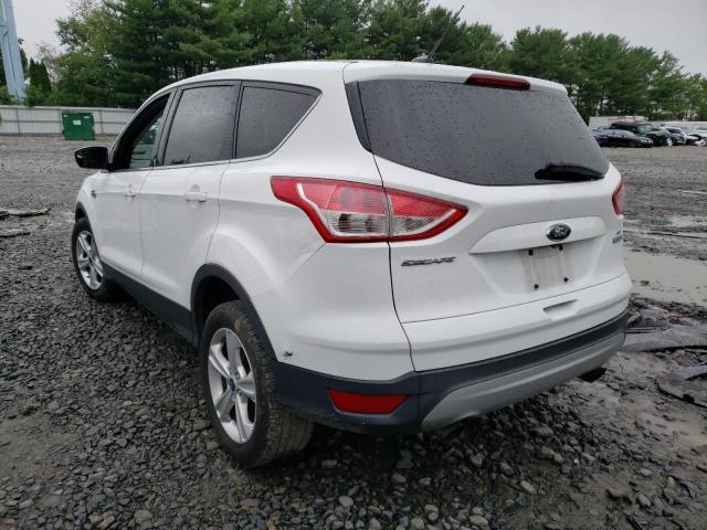 Photo 2 from auction – 2014 FORD ESCAPE SE with VIN 1FMCU0GX3EUD33115