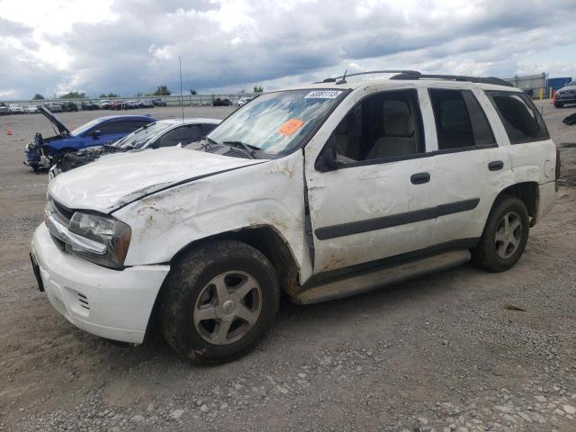 Photo 1 from auction – 2005 CHEVROLET TRAILBLAZE with VIN 1GNDT13S652130802