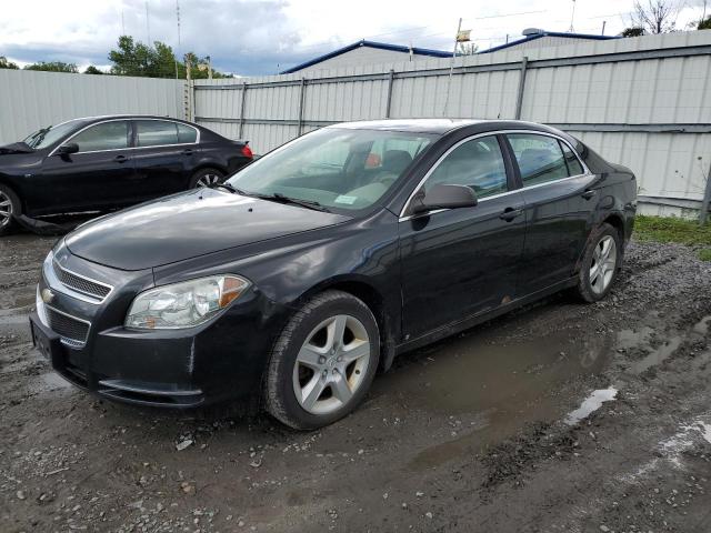 Photo 1 from auction – 2009 CHEVROLET MALIBU with VIN 1G1ZG57B09F254589