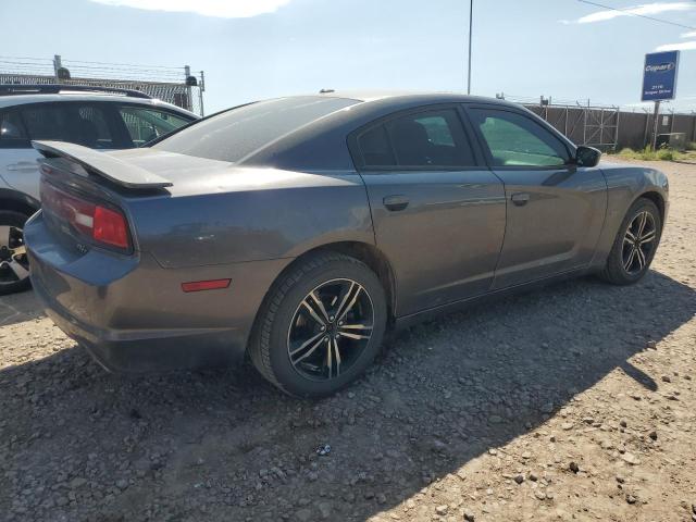 Photo 3 from auction – 2014 DODGE CHARGER R/ with VIN 2C3CDXDT2EH364880