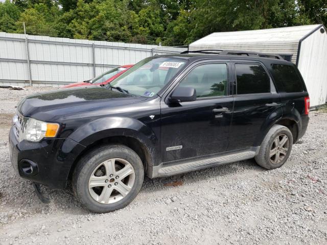 Photo 1 from auction – 2008 FORD ESCAPE XLT with VIN 1FMCU93138KA85759