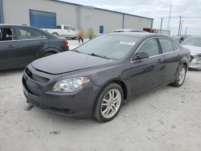 CHEVROLET MALIBU LS 2011 with VIN 1G1ZA5EU1BF137356 - Photo from auction