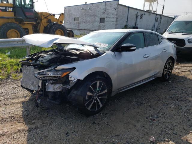 NISSAN MAXIMA SV 2023 with VIN 1N4AA6CVXPC511127 - Photo from auction
