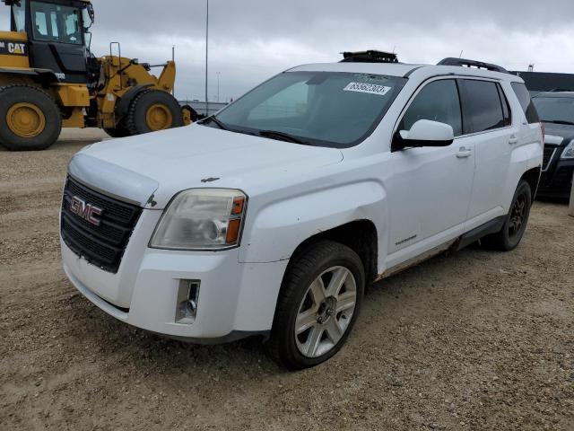 GMC TERRAIN SL 2010 with VIN 2CTFLGEY0A6241174 - Photo from auction